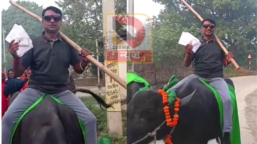 बिहार विधानसभा चुनाव 2025: भैंस पर सवार होकर वोट डालने पहुंचे लालू यादव के करीबी नेता केदार यादव,बने आकर्षण का केंद्र