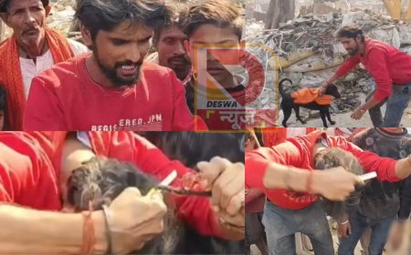 घर नहीं बचा तो चोटी किस काम की?,बेगूसराय में बुलडोजर के बाद भावुक हुआ युवक-पीला गमछा कुत्ते को पहनाया!
