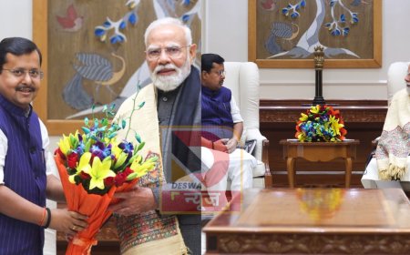 भाजपा के राष्ट्रीय कार्यकारी अध्यक्ष बनने के बाद नितिन नबीन ने पीएम मोदी से की मुलाकात, संगठन को नई दिशा देने पर हुई अहम चर्चा