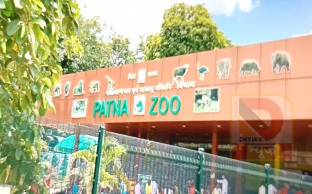 नए साल के जश्न को लेकर पटना जू और पार्कों में विशेष तैयारी, आज से एडवांस टिकट बुकिंग शुरू