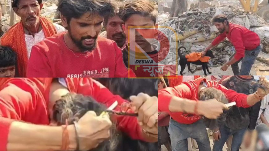 घर नहीं बचा तो चोटी किस काम की?,बेगूसराय में बुलडोजर के बाद भावुक हुआ युवक-पीला गमछा कुत्ते को पहनाया!