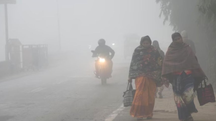 बिहार में बढ़ी कड़ाके की ठंड: कई जिलों में तापमान 8°C, घना कोहरा और पछुआ हवा ने बढ़ाई मुश्किलें