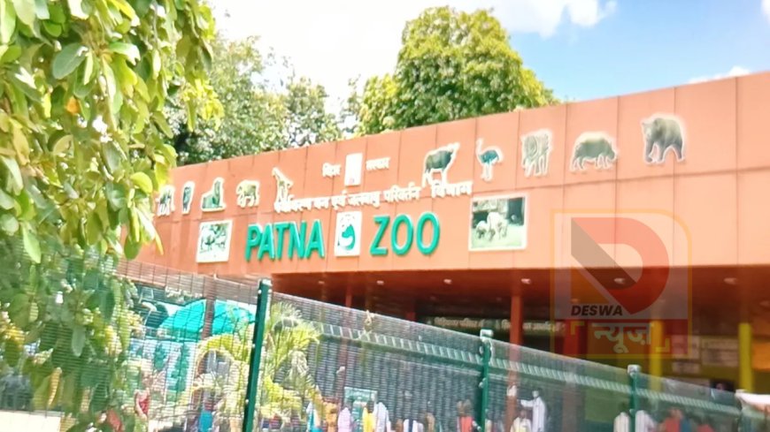 नए साल के जश्न को लेकर पटना जू और पार्कों में विशेष तैयारी, आज से एडवांस टिकट बुकिंग शुरू