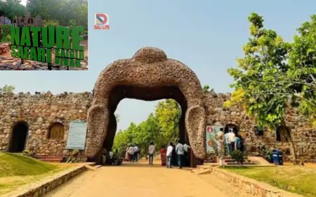 बिहार सरकार का बड़ा प्लान, राजगीर  सफारी में बढ़ेंगी बसें और सुविधाएं