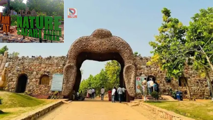 बिहार सरकार का बड़ा प्लान, राजगीर  सफारी में बढ़ेंगी बसें और सुविधाएं
