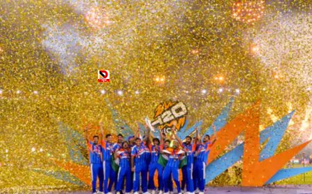 इंडिया vs न्यूजीलैंड फाइनल: 255 रन का धमाका और 96 रनों से जीत,भारत टी-20 में तीसरी बार वर्ल्ड चैंपियन