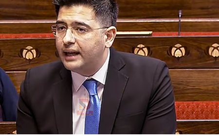 राघव चड्ढा ने राज्यसभा में उठाया 28 दिन वाले मोबाइल रिचार्ज का मुद्दा, टेलीकॉम कंपनियों पर सवाल