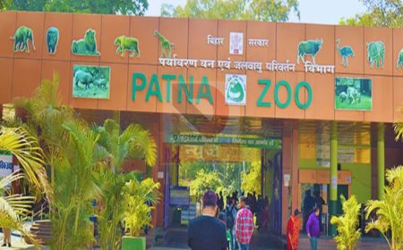 पटना जू का नया अवतार: अब सैर नहीं, मिलेगा डिजिटल जंगल का असली अनुभव