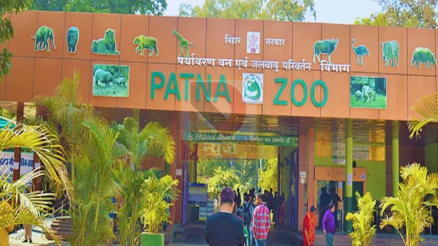 पटना जू का नया अवतार: अब सैर नहीं, मिलेगा डिजिटल जंगल का असली अनुभव