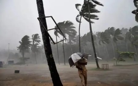 मॉनसून को लेकर आई बड़ी खुशखबरी: 4 जून को केरल में देगा दस्तक, जून के दूसरे हफ्ते में बिहार में प्रवेश की उम्मीद