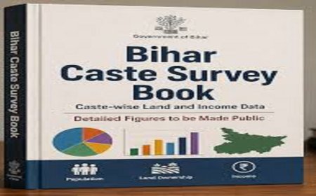 बिहार में जाति सर्वे के आंकड़ों पर छपेगी किताब, हर जाति की कमाई और जमीन का मिलेगा पूरा ब्यौरा