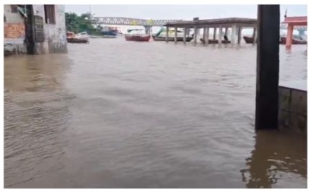 पटना समेत बिहार के कई जिलों में मंडराया बाढ़ का खतरा; पुनपुन का रिंग बांध टूटा, गंगा के जलस्तर में भी लगातार वृद्धि, सतर्क रहने की अपील 